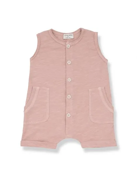 1  IN THE FAMILY ROSE TROIA ROMPER